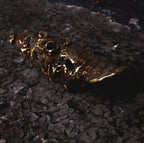 Abyssus I